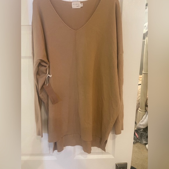 dreamers By Debut Sweaters - Dreamers by Debut Camel V Neck Sweater NWT